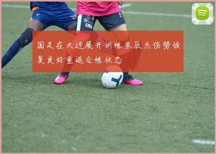 国足在大连展开训练朱辰杰伤势恢复良好重返合练状态